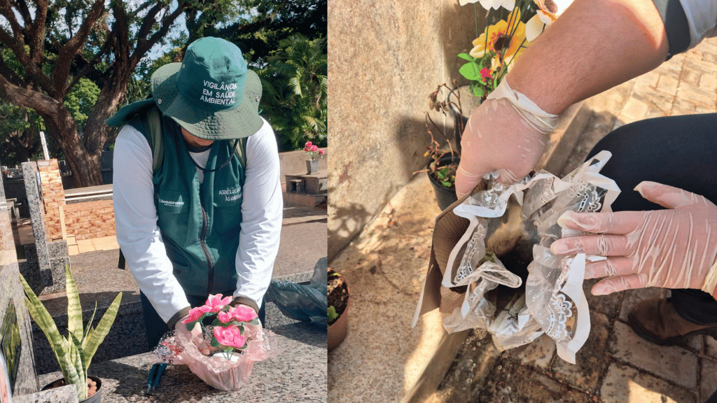 Agente da Vigilância Ambiental realiza vistoria para combate ao mosquito da dengue em Umuarama