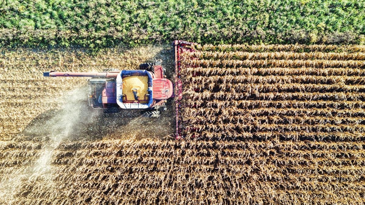 Agro do Paraná bate recorde de R$ 213 bilhões em 2025