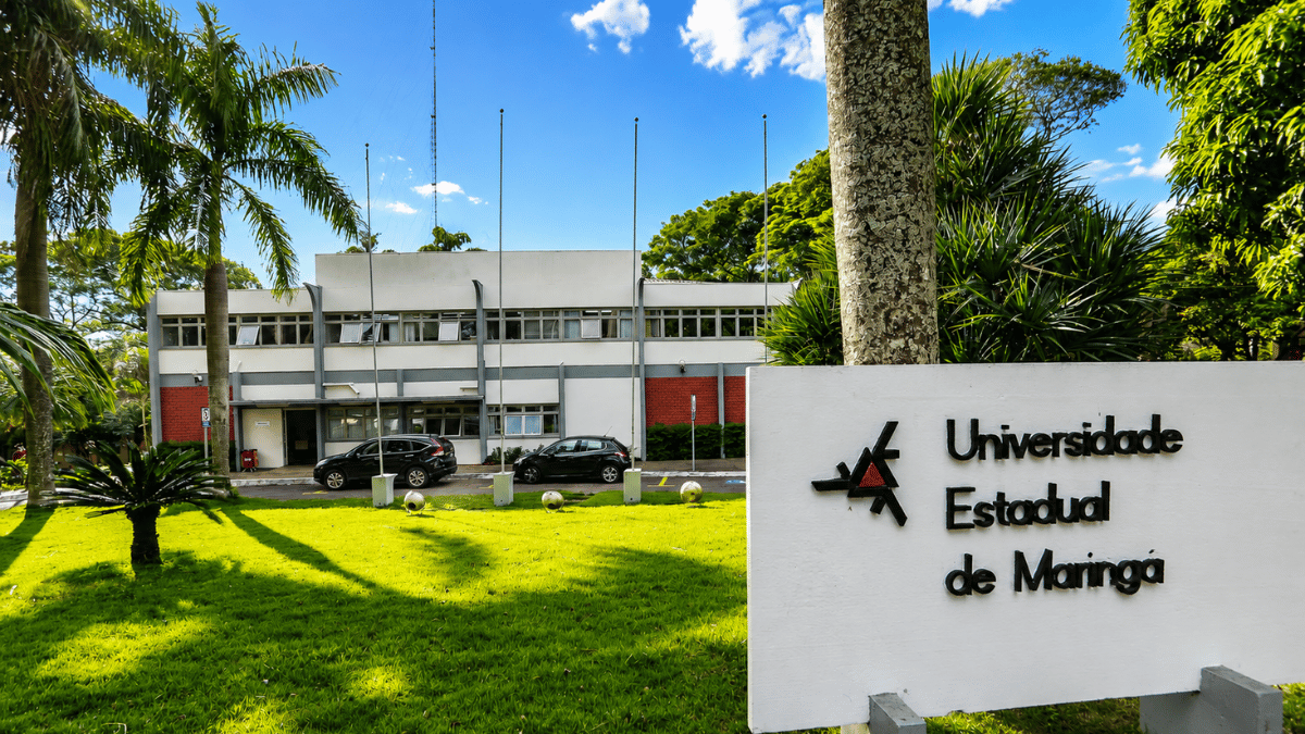 UEM abre seleção com 11 vagas para professor temporário em Umuarama