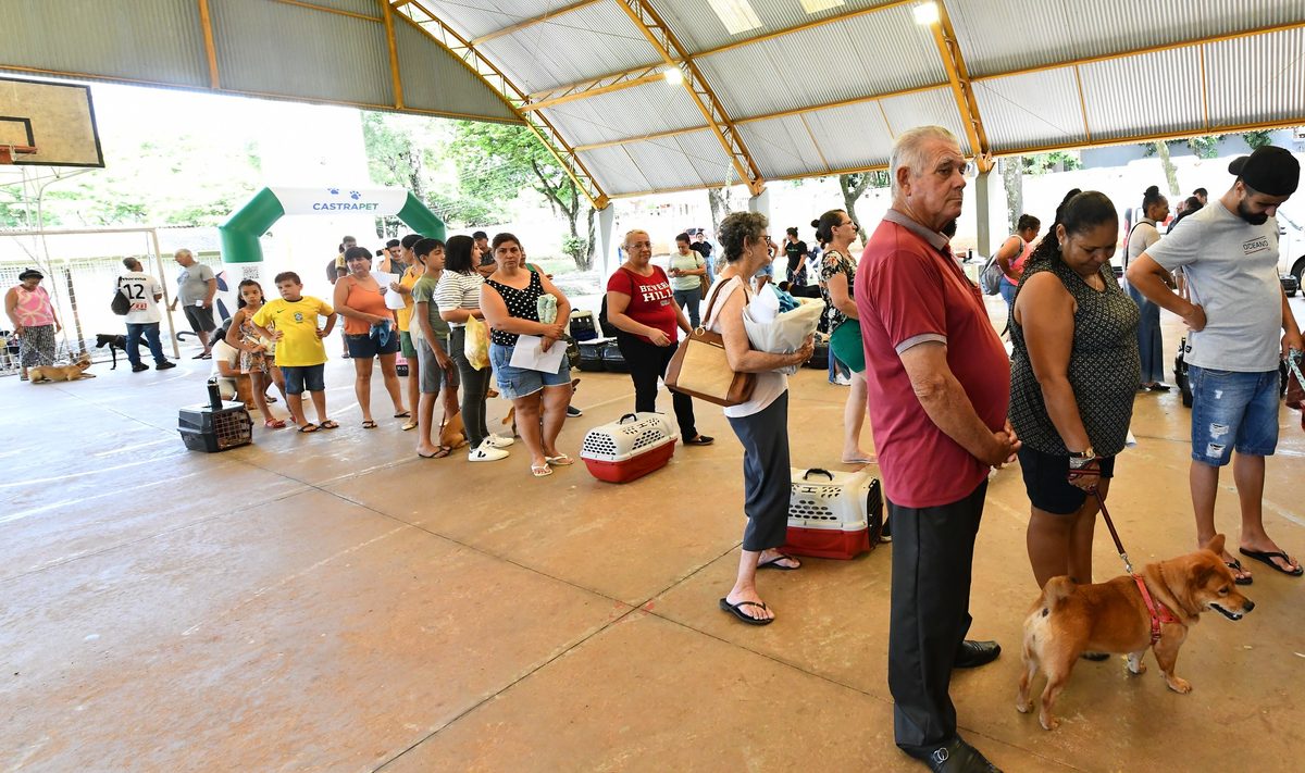 CastraPet abre 245 vagas para castração em Umuarama