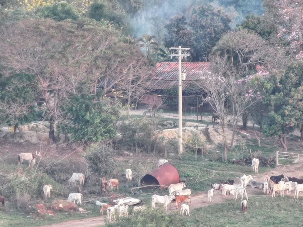 Propriedade rural em Rio das Pedras (SP) onde suspeitos da chacina de Icaraíma foram presos