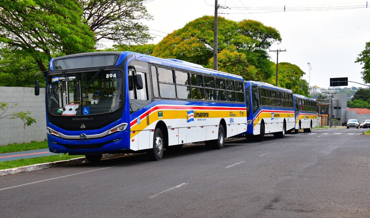 Umuarama fará audiência pública sobre transporte coletivo
