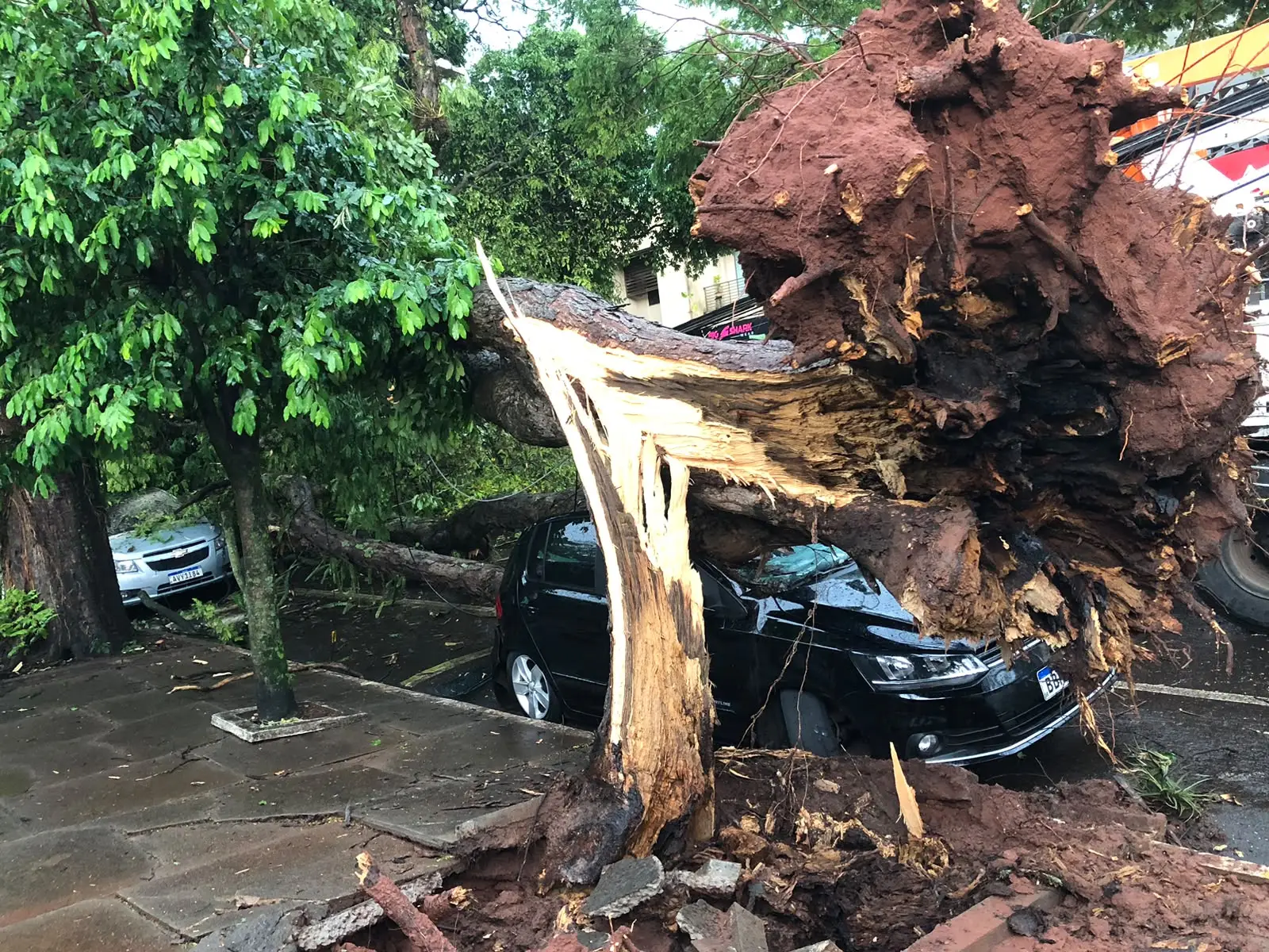 Temporal em Umuarama: vento de mais de 100 km/h deixa um morto