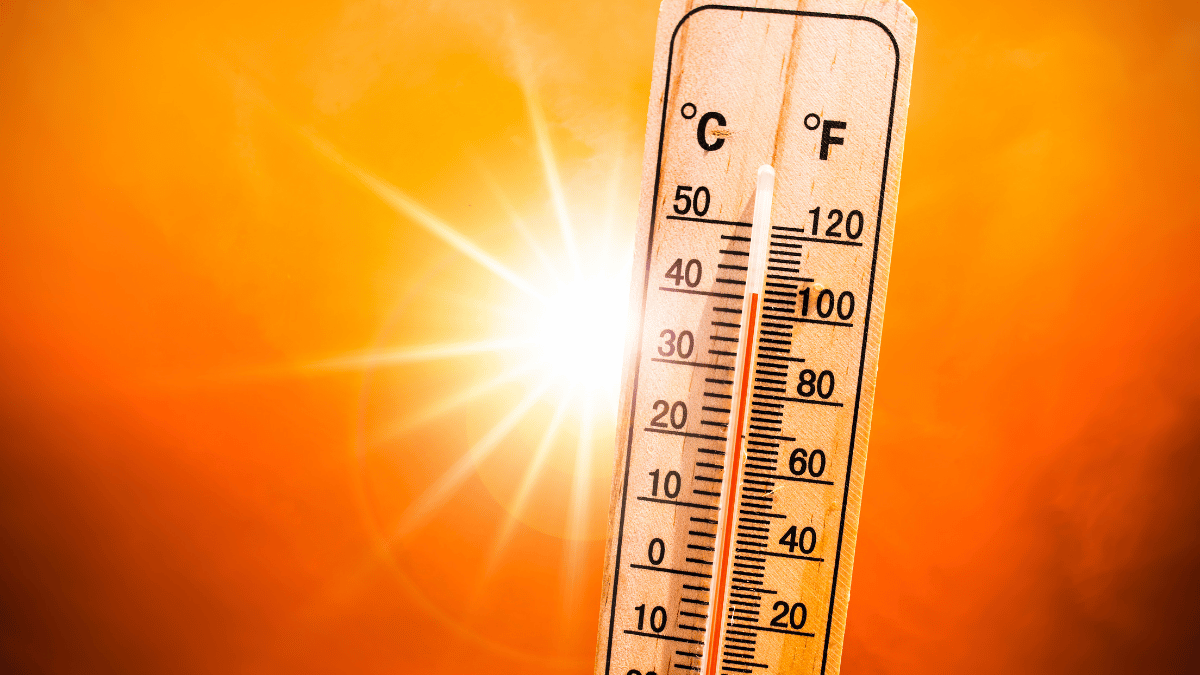 Sobe e desce da temperatura: como proteger a saúde