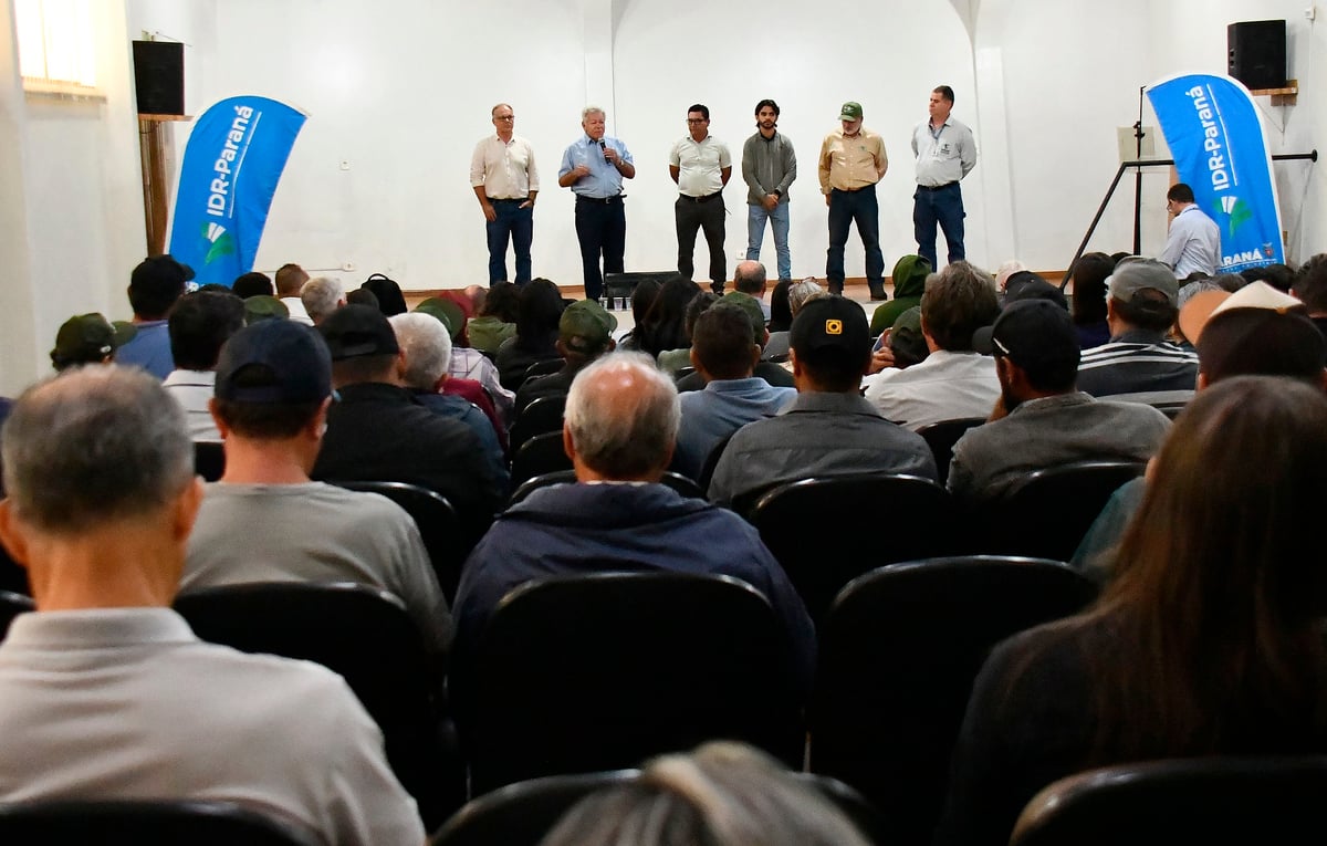 Seminário de produtores de alho em Umuarama