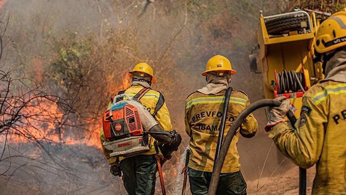 Brigadistas do Prevfogo/Ibama combatem incêndio florestal