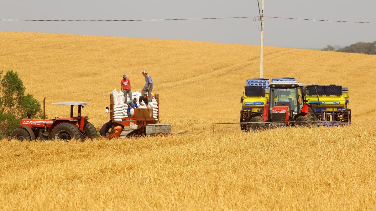 Foto de arquivo: agricultores abastecem plantadeira com sacos de semente ao lado de tratores em lavoura no Paraná